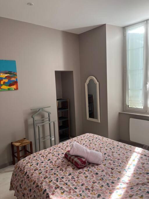 Superbe Appartement Plein Centre Millau Exterior foto