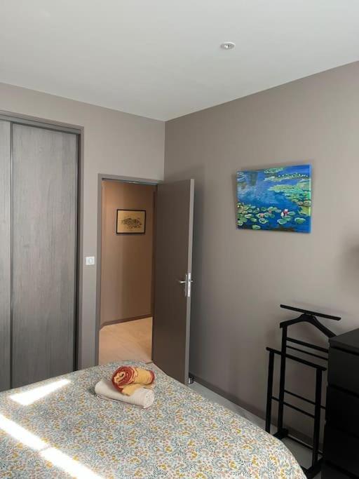 Superbe Appartement Plein Centre Millau Exterior foto